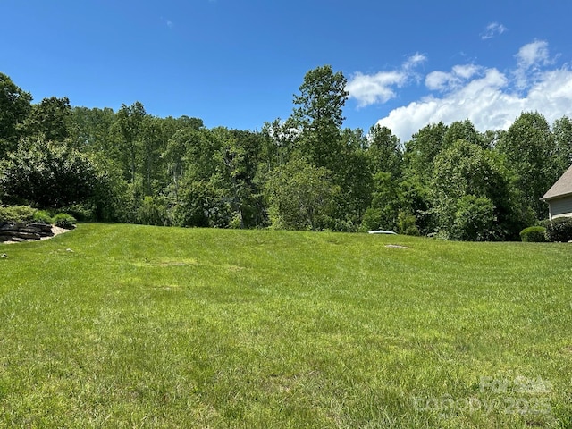 0 Welding Way Unit 128, Hendersonville, NC 28792 - view of green lawn