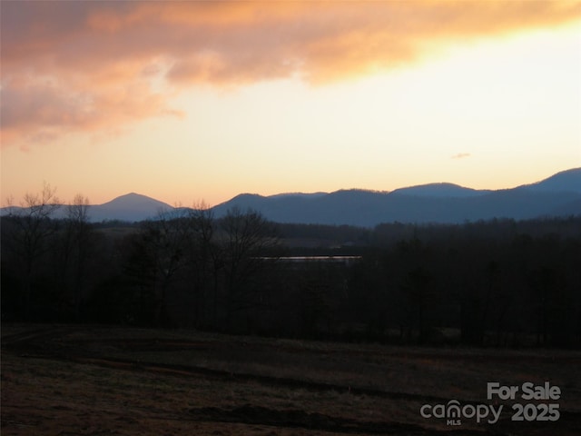 0 Welding Way Unit 128, Hendersonville, NC 28792 - view of mountain background