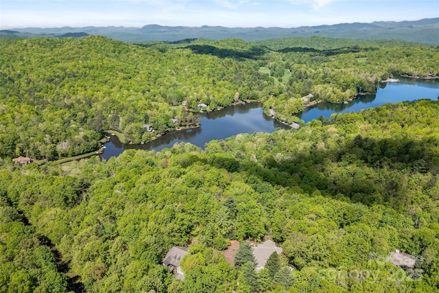 bird's eye view of a forest and a water and mountain view