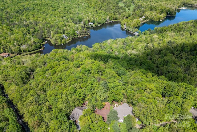 aerial view of a forest and a large body of water