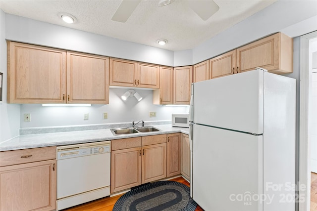 kitchen featuring white appliances, a sink, and light brown cabinets