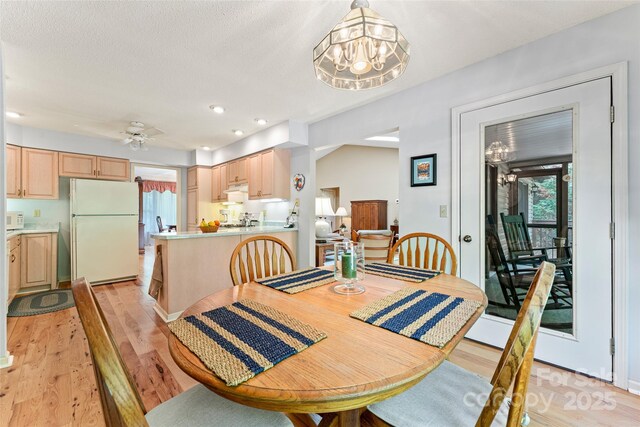 dining area featuring a chandelier, light wood-style flooring, recessed lighting, and a ceiling fan