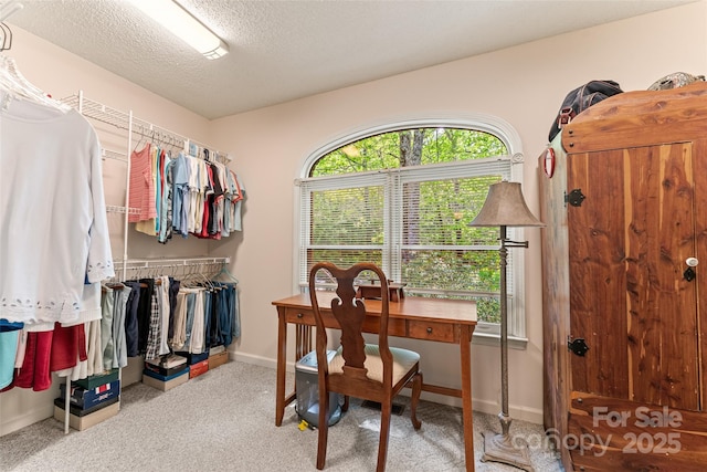 office featuring carpet flooring, baseboards, and a textured ceiling
