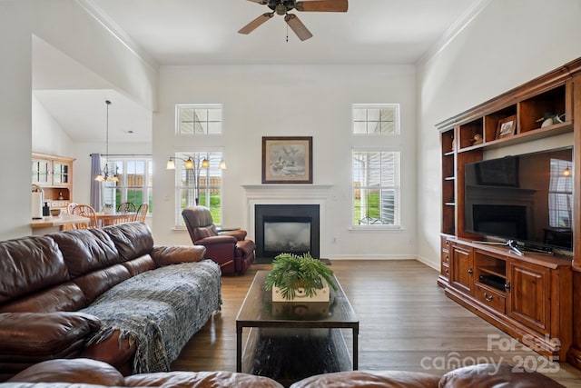 146 Burtons Barn Rd, Mooresville, NC 28115 - living area with a fireplace, a ceiling fan, healthy amount of natural light, ornamental molding, and a high ceiling