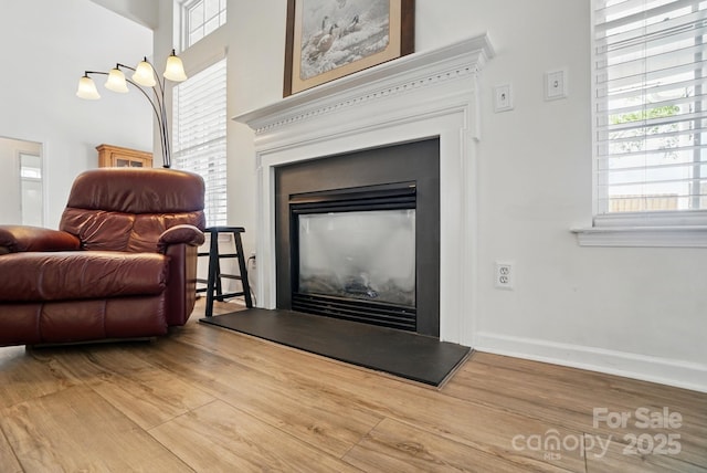 146 Burtons Barn Rd, Mooresville, NC 28115 - detailed view of a glass covered fireplace, wood finished floors, and baseboards
