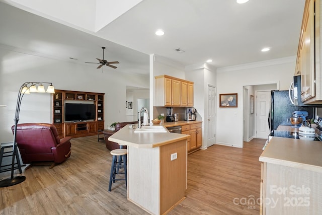 146 Burtons Barn Rd, Mooresville, NC 28115 - kitchen with a sink, a peninsula, open floor plan, a breakfast bar, and light wood-style floors