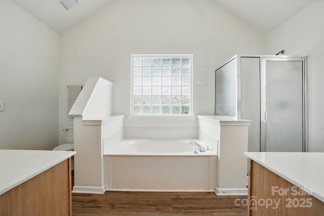 146 Burtons Barn Rd, Mooresville, NC 28115 - full bath featuring vaulted ceiling, wood finished floors, a shower stall, a garden tub, and vanity
