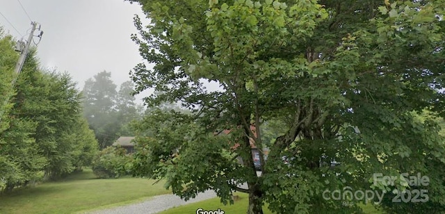1925 Green Hill Rd, Blowing Rock, NC 28605 - view of local wilderness