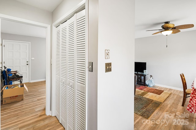 319 Greenville Hwy Unit 302, Brevard, NC 28712 - hallway with light wood-style floors and baseboards