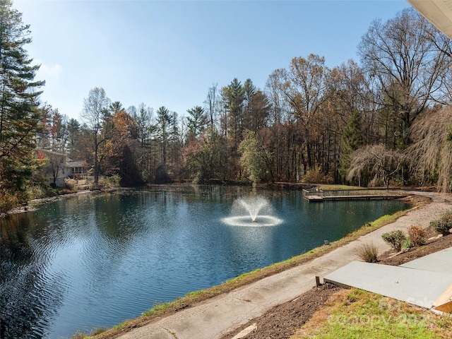 530 Stoney Mountain Rd, Hendersonville, NC 28791 - water view