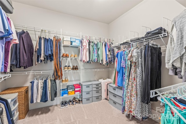5210 Kelly St, Charlotte, NC 28205 - walk in closet featuring carpet floors