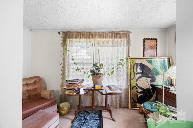 sitting room featuring carpet flooring, a textured ceiling, and ornamental molding