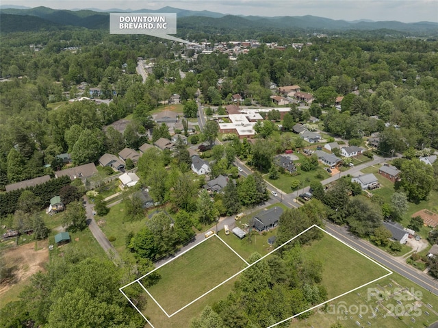 99999 Goodwin Ln, Brevard, NC 28712 - photo 1