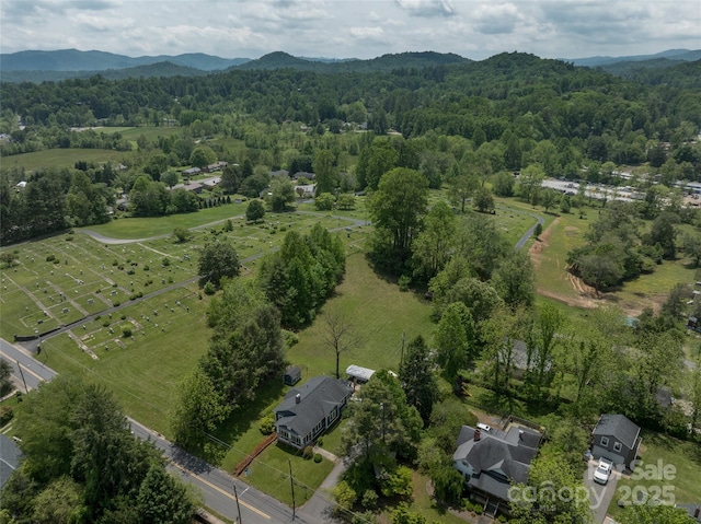 99999 Goodwin Ln, Brevard, NC 28712 - photo 4