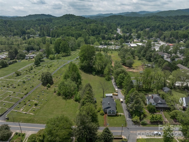 99999 Goodwin Ln, Brevard, NC 28712 - photo 5