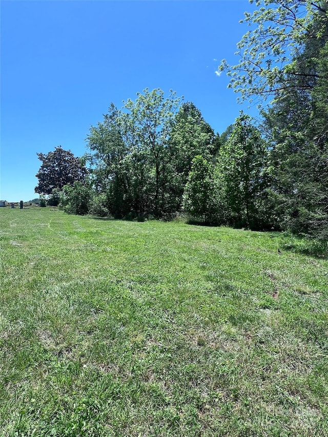 99999 Goodwin Ln, Brevard, NC 28712 - photo 6