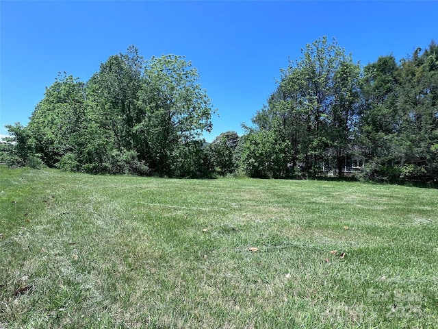 99999 Goodwin Ln, Brevard, NC 28712 - photo 7