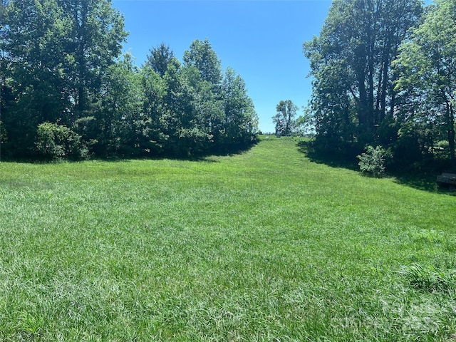 99999 Goodwin Ln, Brevard, NC 28712 - photo 10