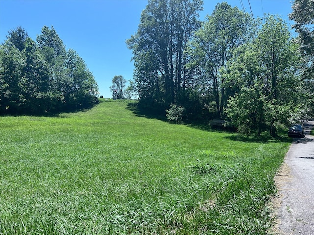 99999 Goodwin Ln, Brevard, NC 28712 - photo 11