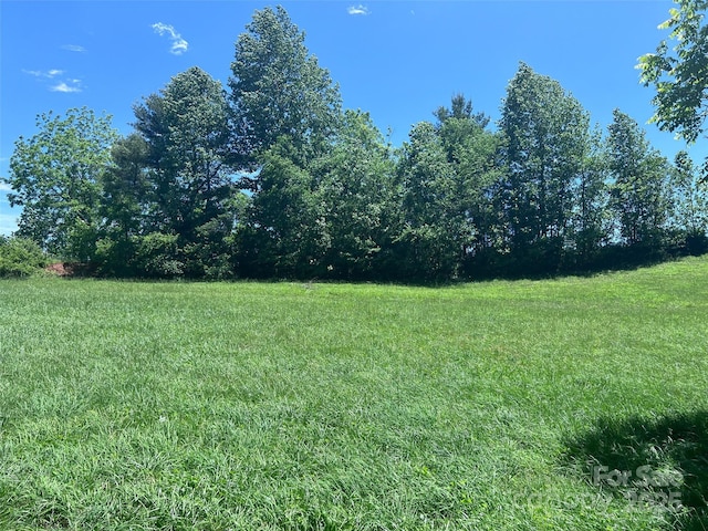 99999 Goodwin Ln, Brevard, NC 28712 - photo 13
