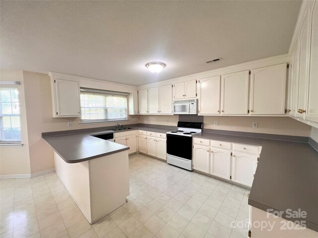 318 Linsbury Ct, Gastonia, NC 28056 - kitchen with electric range, white microwave, a peninsula, a sink, and dark countertops