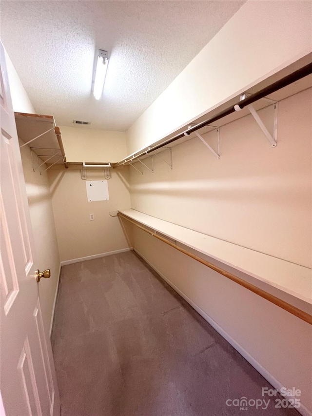 318 Linsbury Ct, Gastonia, NC 28056 - walk in closet with carpet flooring