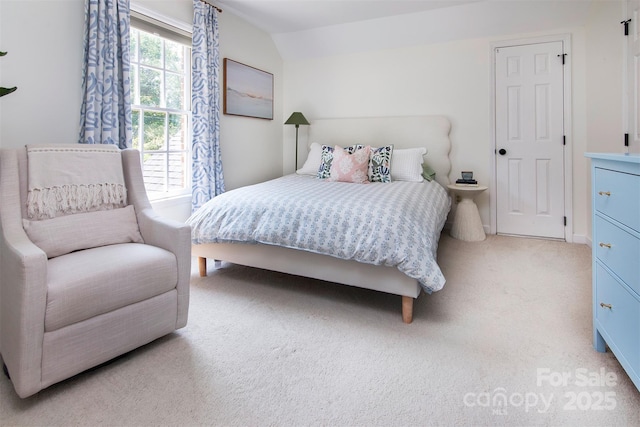 1208 Chausley Ct, Charlotte, NC 28211 - bedroom featuring light carpet and lofted ceiling