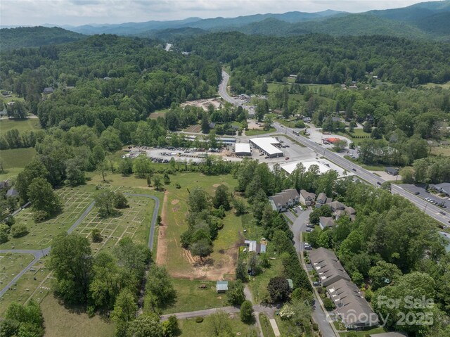 99999 Hamilton Dr, Brevard, NC 28712 - photo 2