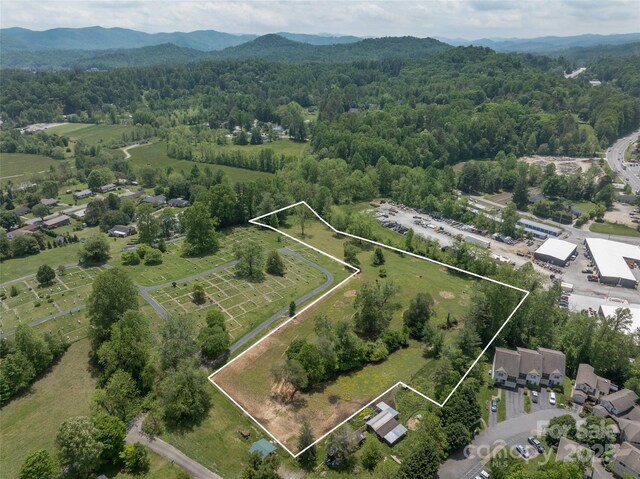 99999 Hamilton Dr, Brevard, NC 28712 - photo 3