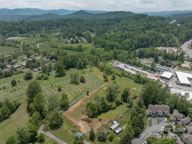 99999 Hamilton Dr, Brevard, NC 28712 - photo 4