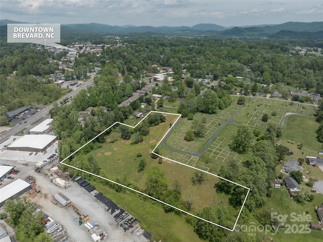 99999 Hamilton Dr, Brevard, NC 28712 - photo 5