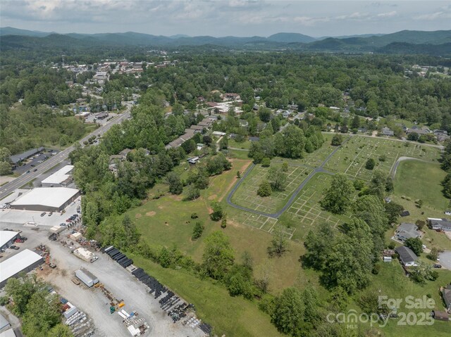 99999 Hamilton Dr, Brevard, NC 28712 - photo 6