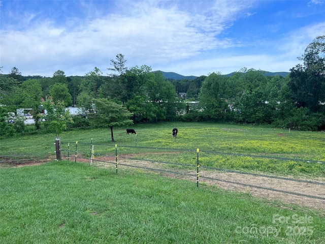 99999 Hamilton Dr, Brevard, NC 28712 - photo 12