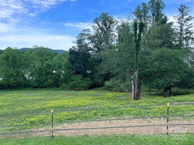99999 Hamilton Dr, Brevard, NC 28712 - photo 15