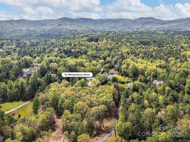 LOT53 Winterberry Dr, Hendersonville, NC 28739 - photo 1
