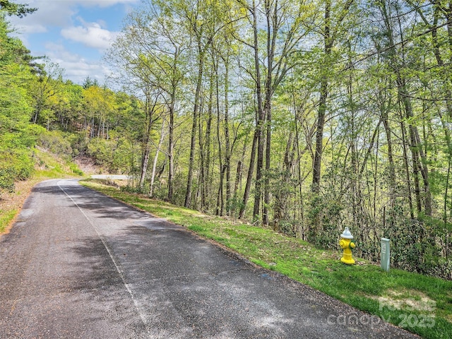 LOT53 Winterberry Dr, Hendersonville, NC 28739 - photo 3