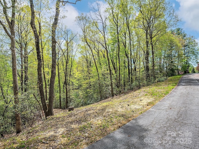 LOT53 Winterberry Dr, Hendersonville, NC 28739 - photo 4