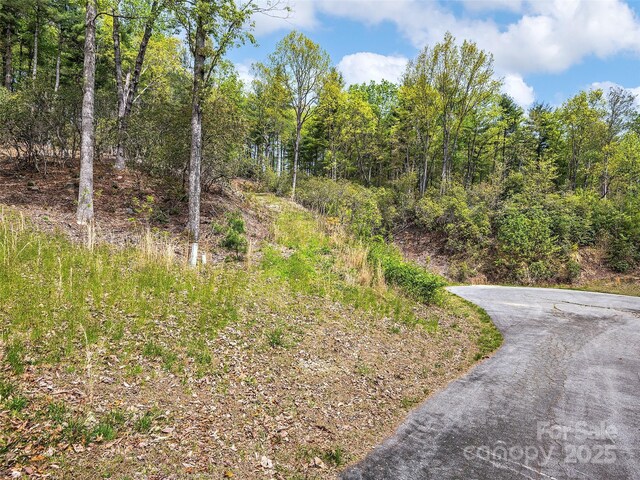LOT53 Winterberry Dr, Hendersonville, NC 28739 - photo 6