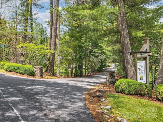 LOT53 Winterberry Dr, Hendersonville, NC 28739 - photo 8