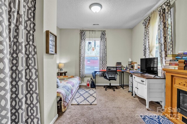 587 Dysartsville Rd, Nebo, NC 28761 - photo 14
