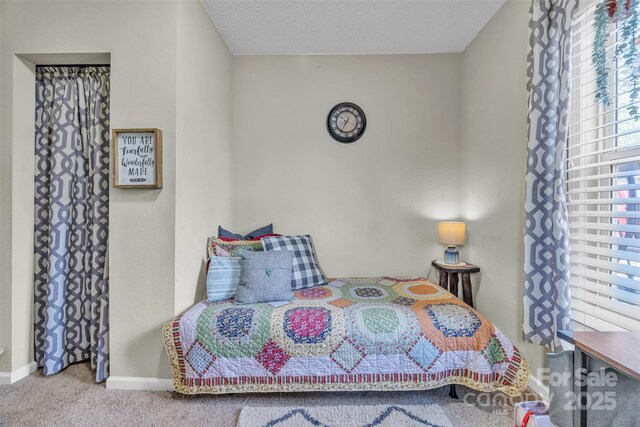 587 Dysartsville Rd, Nebo, NC 28761 - photo 15