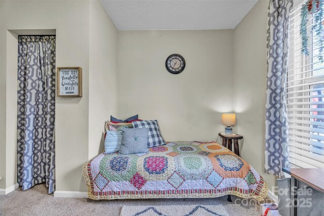 587 Dysartsville Rd, Nebo, NC 28761 - photo 16