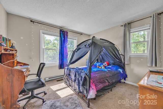 587 Dysartsville Rd, Nebo, NC 28761 - photo 24