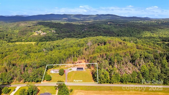 587 Dysartsville Rd, Nebo, NC 28761 - photo 38