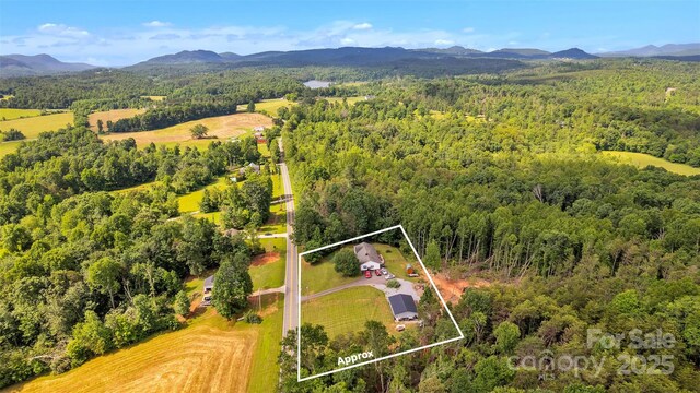 587 Dysartsville Rd, Nebo, NC 28761 - photo 39