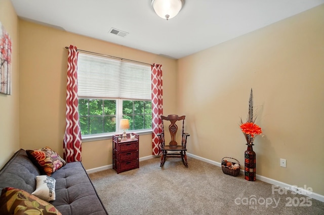 541 River Park Rd, Belmont, NC 28012 - sitting room with carpet and baseboards