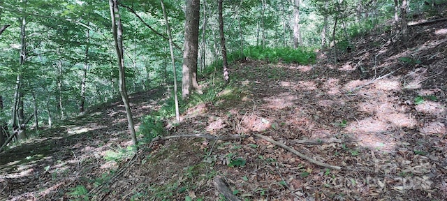 7881 Us-25/70 Hwy, Marshall, NC 28753 - view of wooded area