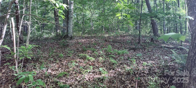 7881 Us-25/70 Hwy, Marshall, NC 28753 - view of wooded area