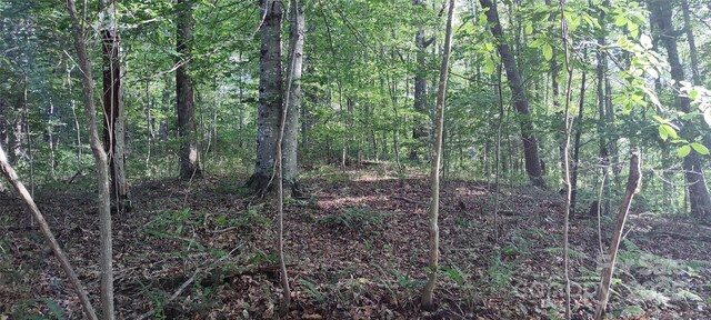 7881 Us-25/70 Hwy, Marshall, NC 28753 - view of tree filled area