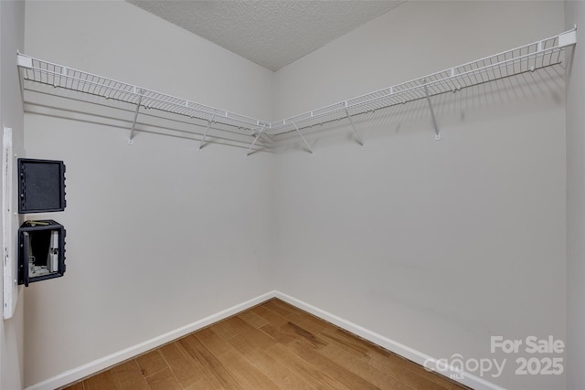 spacious closet featuring wood finished floors